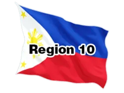 region 10